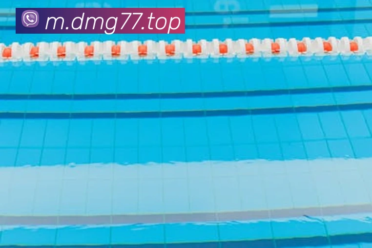 大满贯平台平台生态图